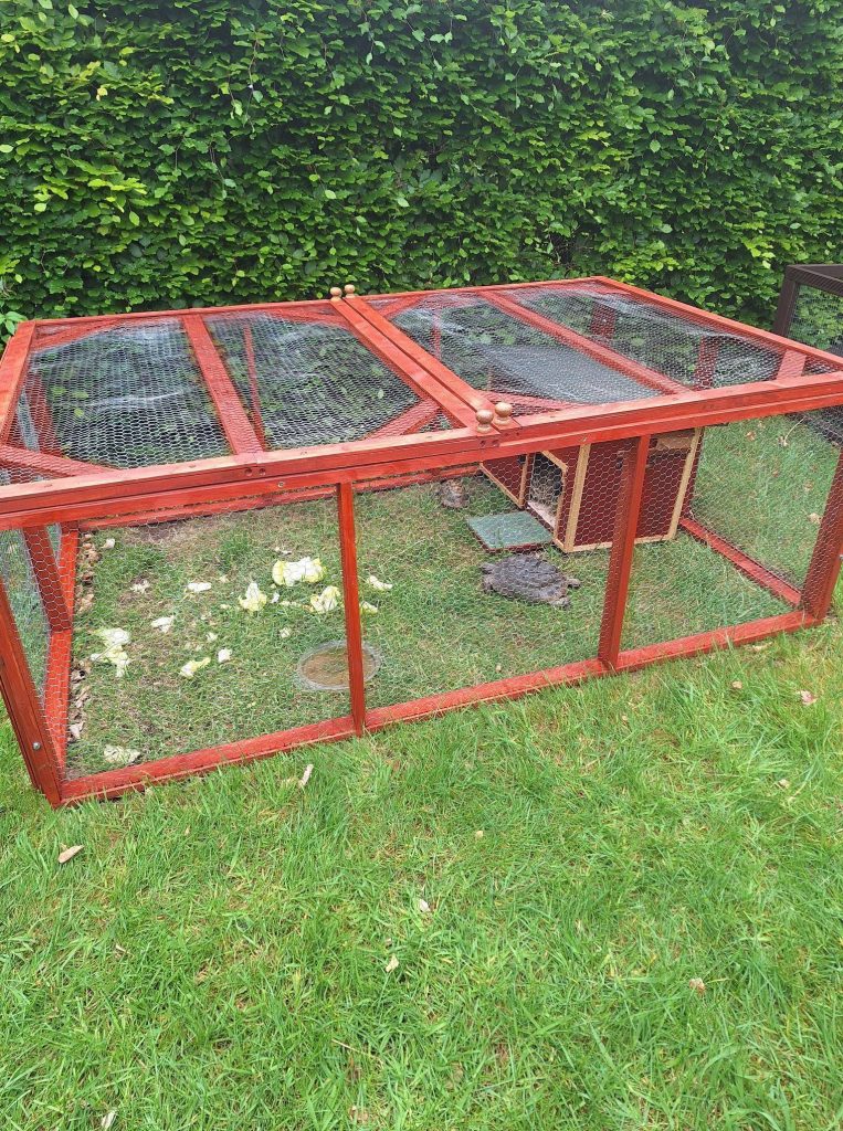Bespoke outdoor Tortoise cage
